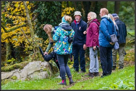 IMG_7137-DxO_DeepPRIME XD2s